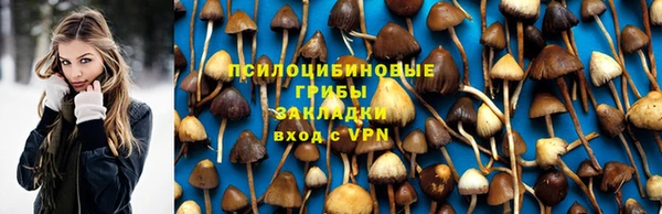 гидропоника Надым