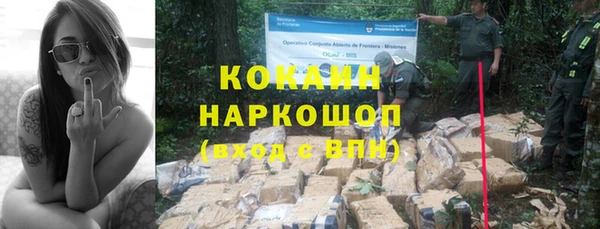 стафф Нефтегорск