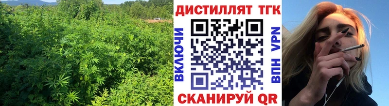 ТГК концентрат  Купить закладки  Камышлов 